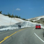 Trail Ridge Road #1