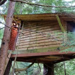 Treehouse #1