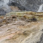 Yellowstone #9